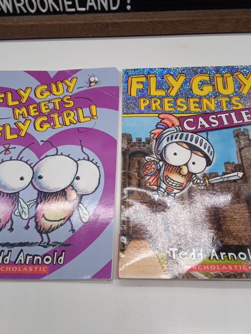Fly Guy Level Reader Bundle Book#4 - Picture 2 of 6